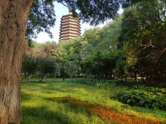 -玲珑塔公园