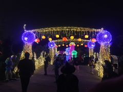 -南湖梦幻岛