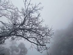 -峨嵋山金顶