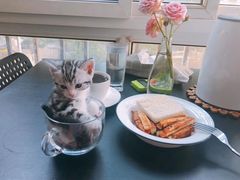 -全心全意连锁动物医院·特色中医诊疗(会城门分院)