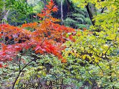 -杭州半山国家森林公园