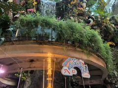 -正佳雨林生态植物园