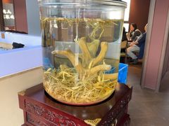 -巧婆婆特色东北菜·铁锅炖