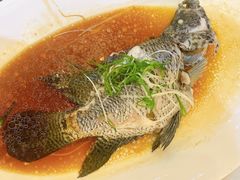-桃园盛宴·岭南粤菜·手工茶点(南庄店)