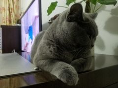 -天津前进宠物医院(前进道店)