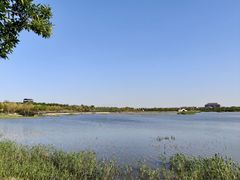 -天津东丽湖风景区