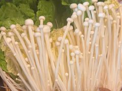 -同仁四季椰子鸡(无锡滨湖万象汇店)