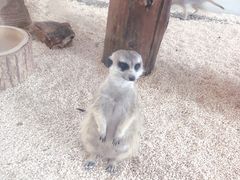 -海合安武汉极地海洋公园