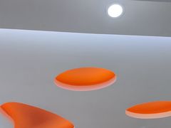 -全心全意连锁动物医院·微创中心·内科急重症·心脏专科(丰管路店)