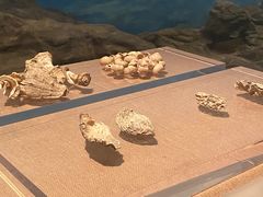 -烟台市博物馆
