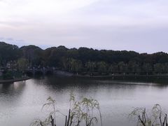 -上海鲜花港