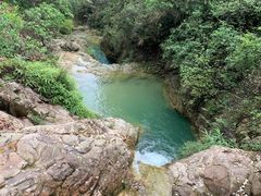-南海湾森林生态园