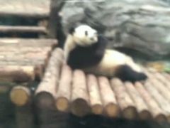 -鄂尔多斯野生动物园