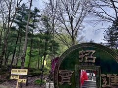 -洛阳白云山景区