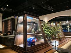 -三猫黑鱼花(南大店)