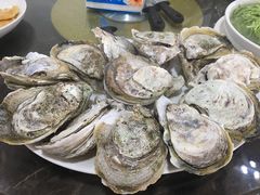 -蚝专家(北滘店)