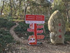 -上海佘山国家森林公园天马山园