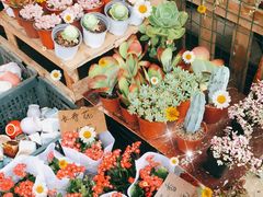 -三圣花乡旅游区