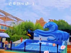 -上海玛雅海滩水公园
