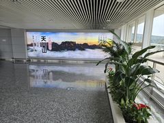-张家界荷花国际机场