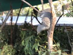 -可伦宾野生动物保护区