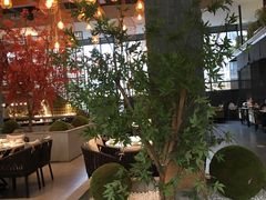 -拈菜(观音桥阳光世纪店)