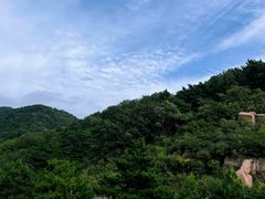 -晨汐石苑·清真菜农家院