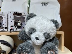 -轩客会(熊猫书店)
