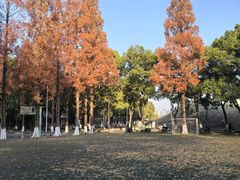 -苏州大学(天赐庄校区)