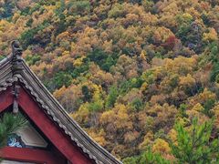 -小五台金河景区