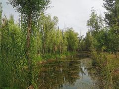 -伊犁河风景区