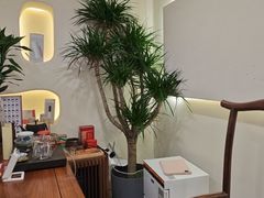 -艾通康缘艾灸.疼痛.睡眠养生馆(凤凰城店)