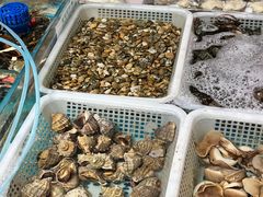 -旺角小渔村·海肠捞饭开创者(二马路店)