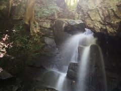 -藏龙百瀑风景区