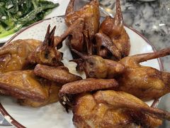 -鸽鸟轩(石岐店)