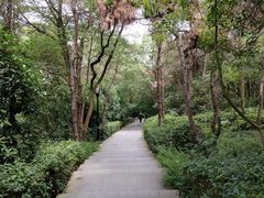 -宝界山林公园