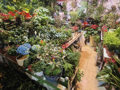 -朝来春花卉市场