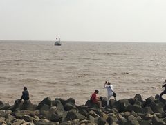 -南汇嘴观海公园