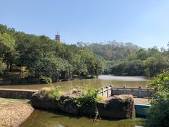 -大雁山风景区