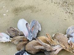 -京津新城温德姆至尊酒店(珠江大道店)