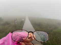 -白草畔自然风景区