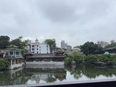 -荔湾湖公园