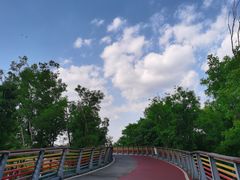 -府河摄影公园