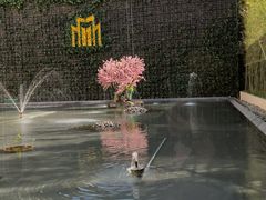 景观位-锦江都城经典达华静安寺酒店·餐厅