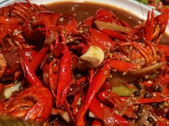 -杨氏青龙虾·羊蝎子(托乐嘉店)