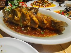 糖醋脆皮鱼-永乐饭店