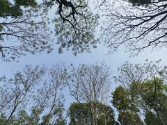 -苏州河梦清园环保主题公园