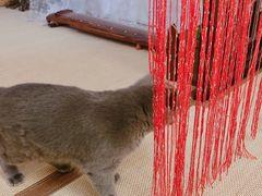 -第三空间·趣味桌游·轰趴.室内CS.剧本杀(大武汉1911店)