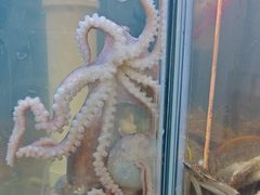 -仙螺岛海鲜自助餐厅(总店)