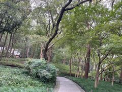 -杭州花家山庄